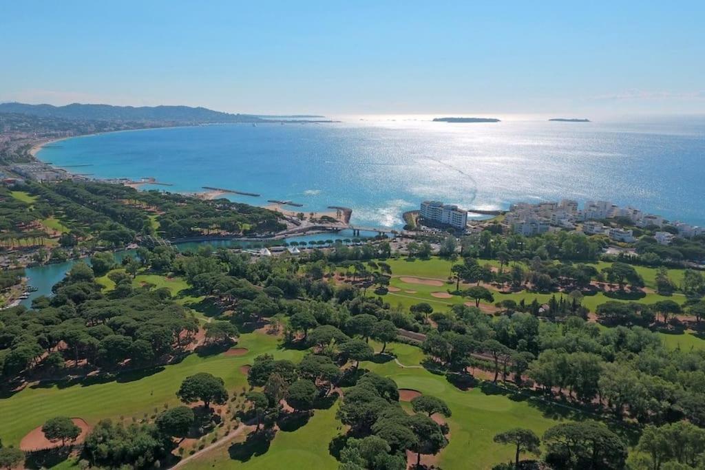 Ginkgo Studio - Piscine, Proche De La Mer, Golf, Wifi Mandelieu Eksteriør billede